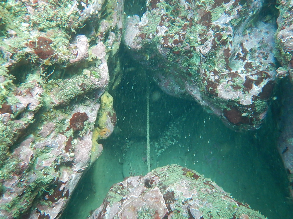 海底の調査写真（松輪江奈港）２０１８年の様子